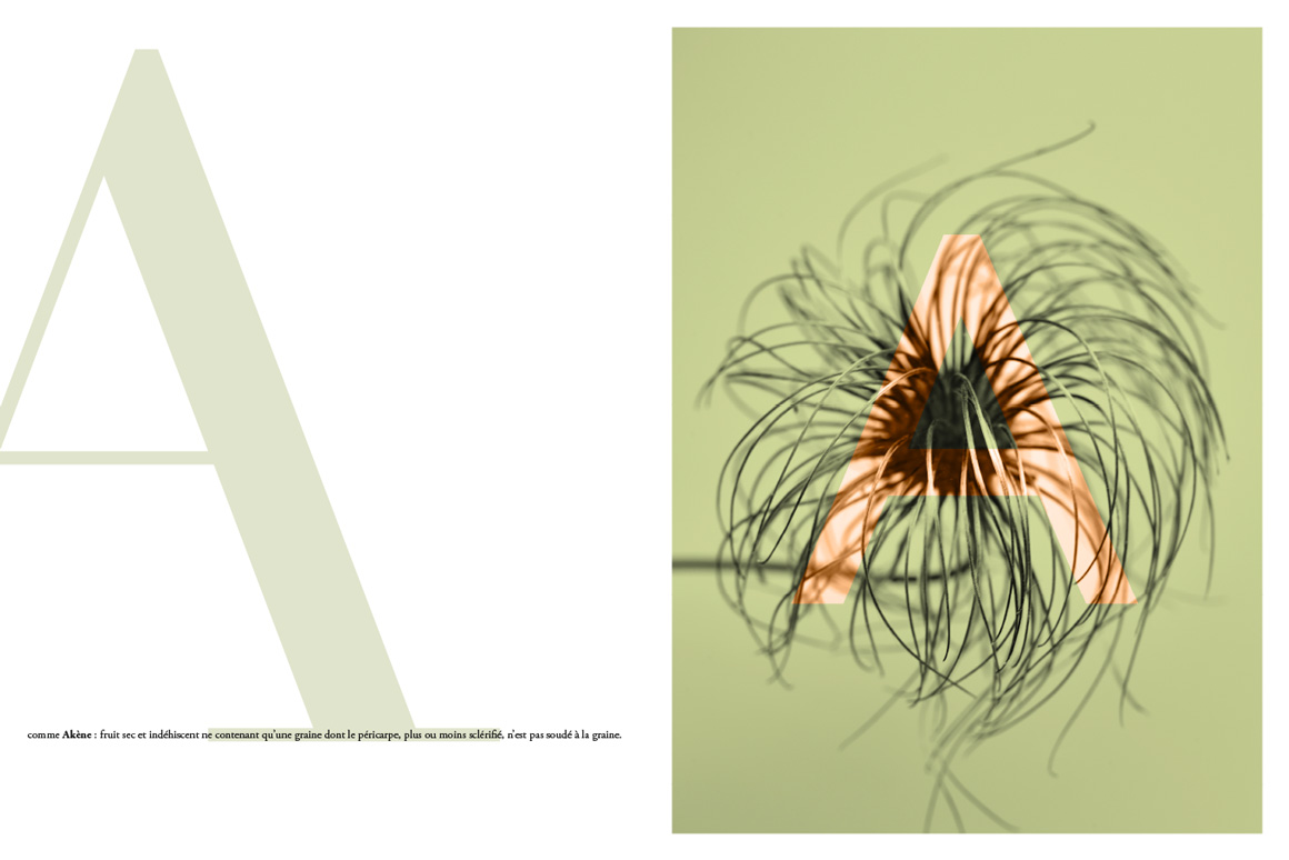 Stéphane Martinelli