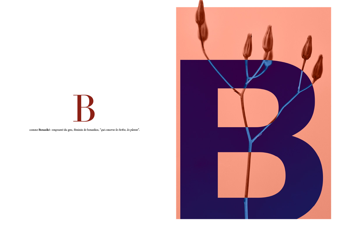 Stéphane Martinelli