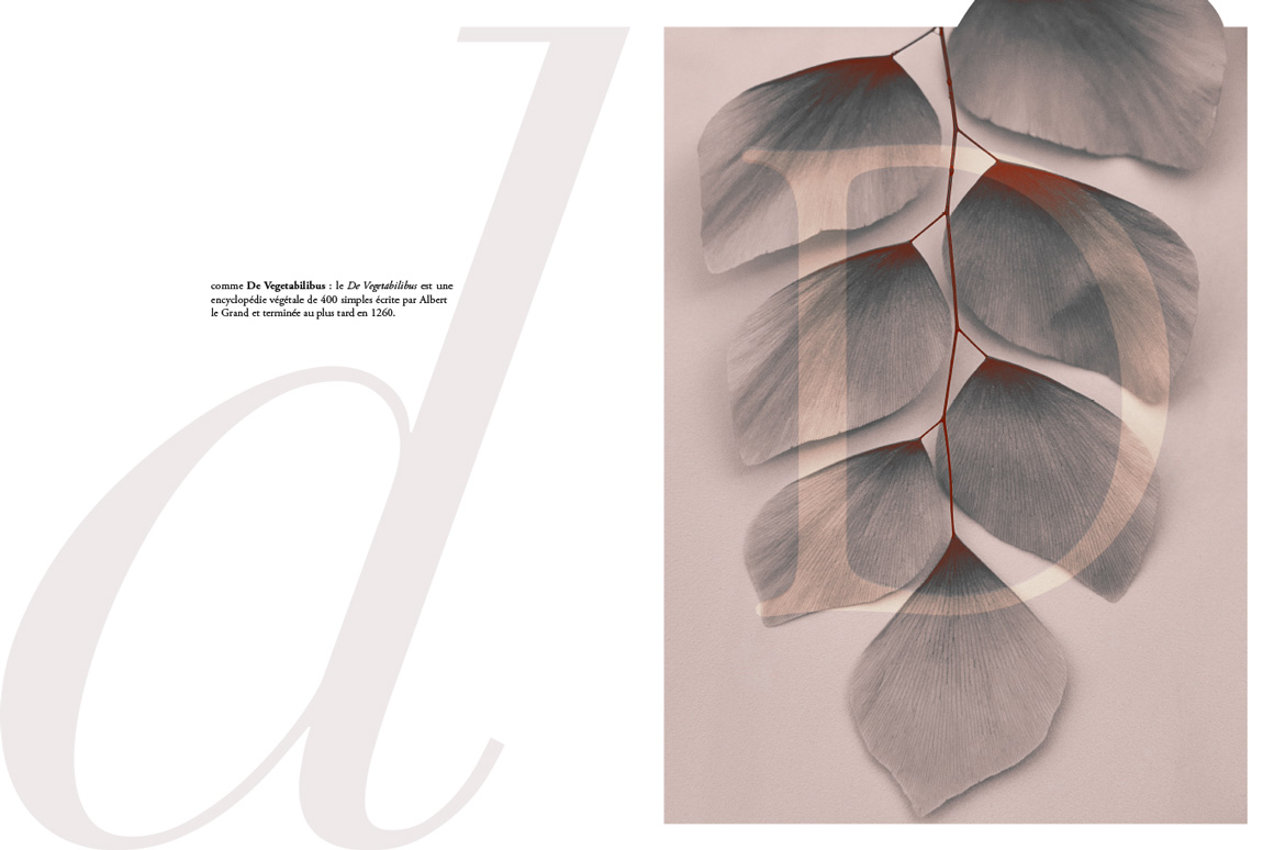 Stéphane Martinelli