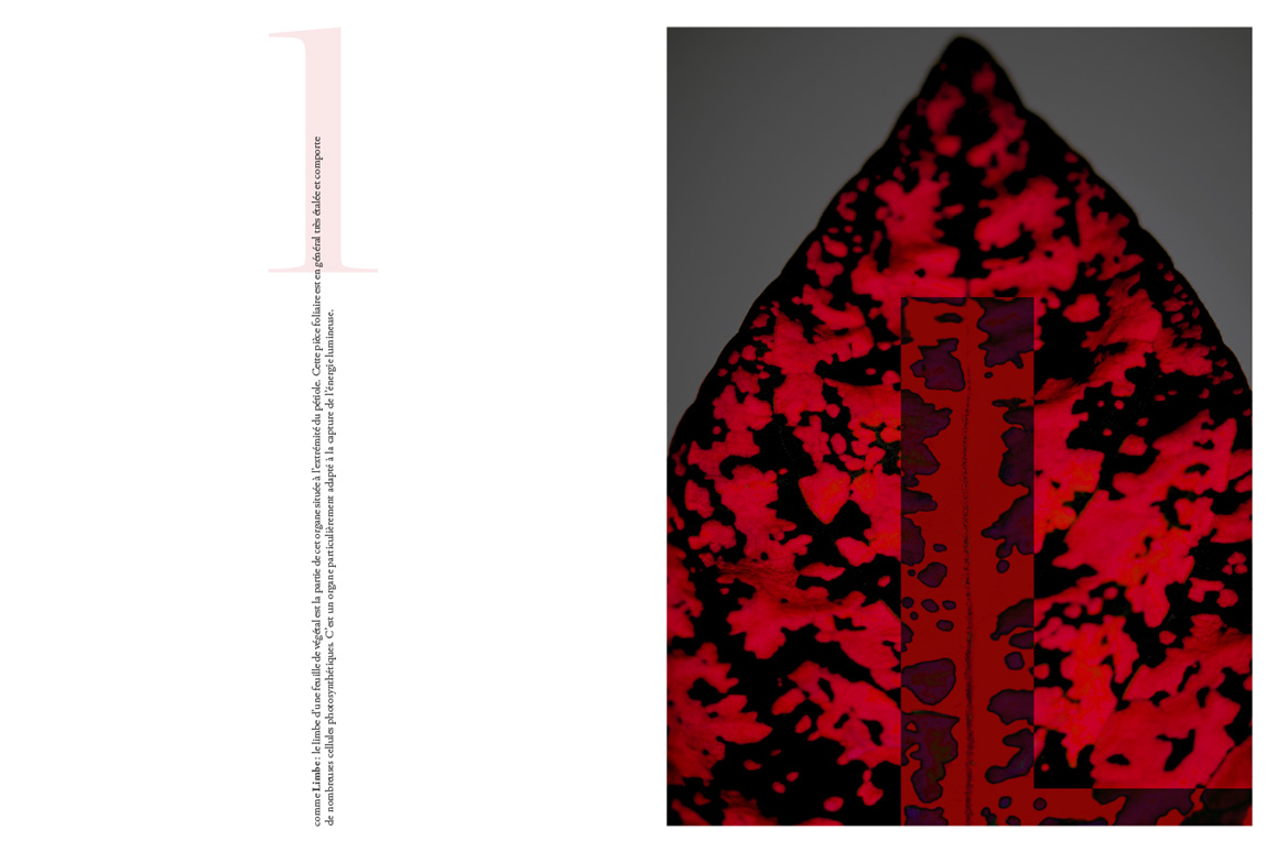 Stéphane Martinelli