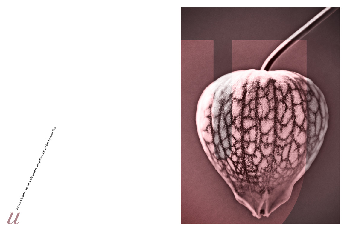 Stéphane Martinelli