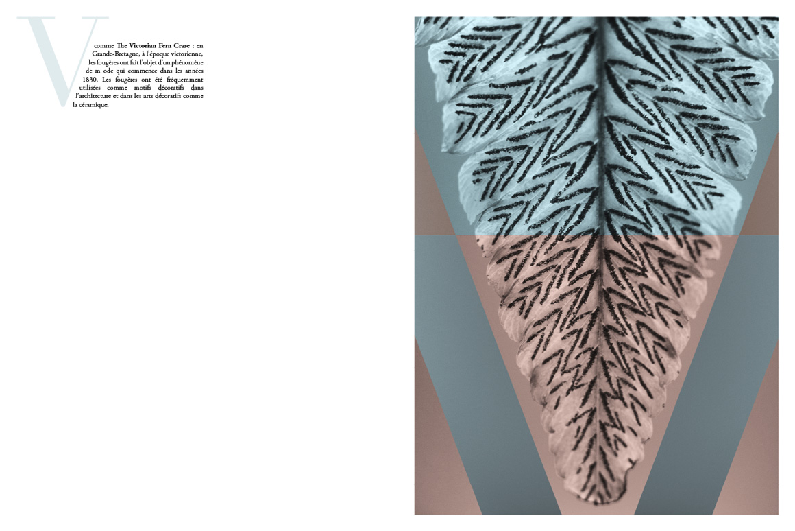 Stéphane Martinelli