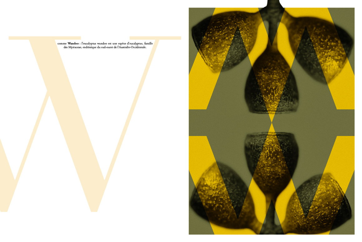 Stéphane Martinelli