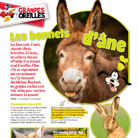 Unique Héritage Média