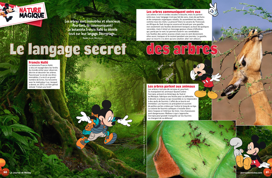 Unique Héritage Media