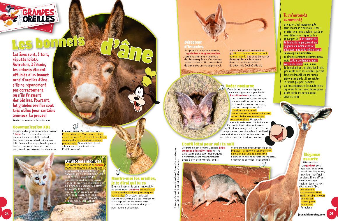 Unique Héritage Media