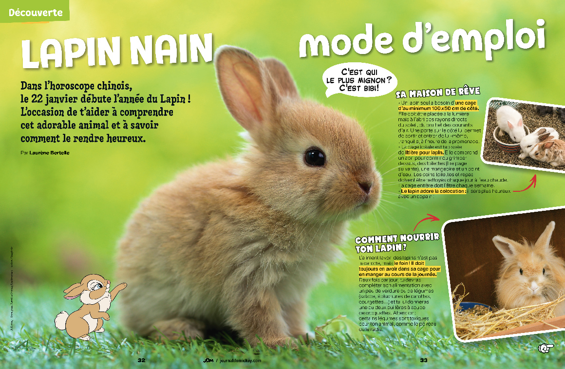 Unique Héritage Media