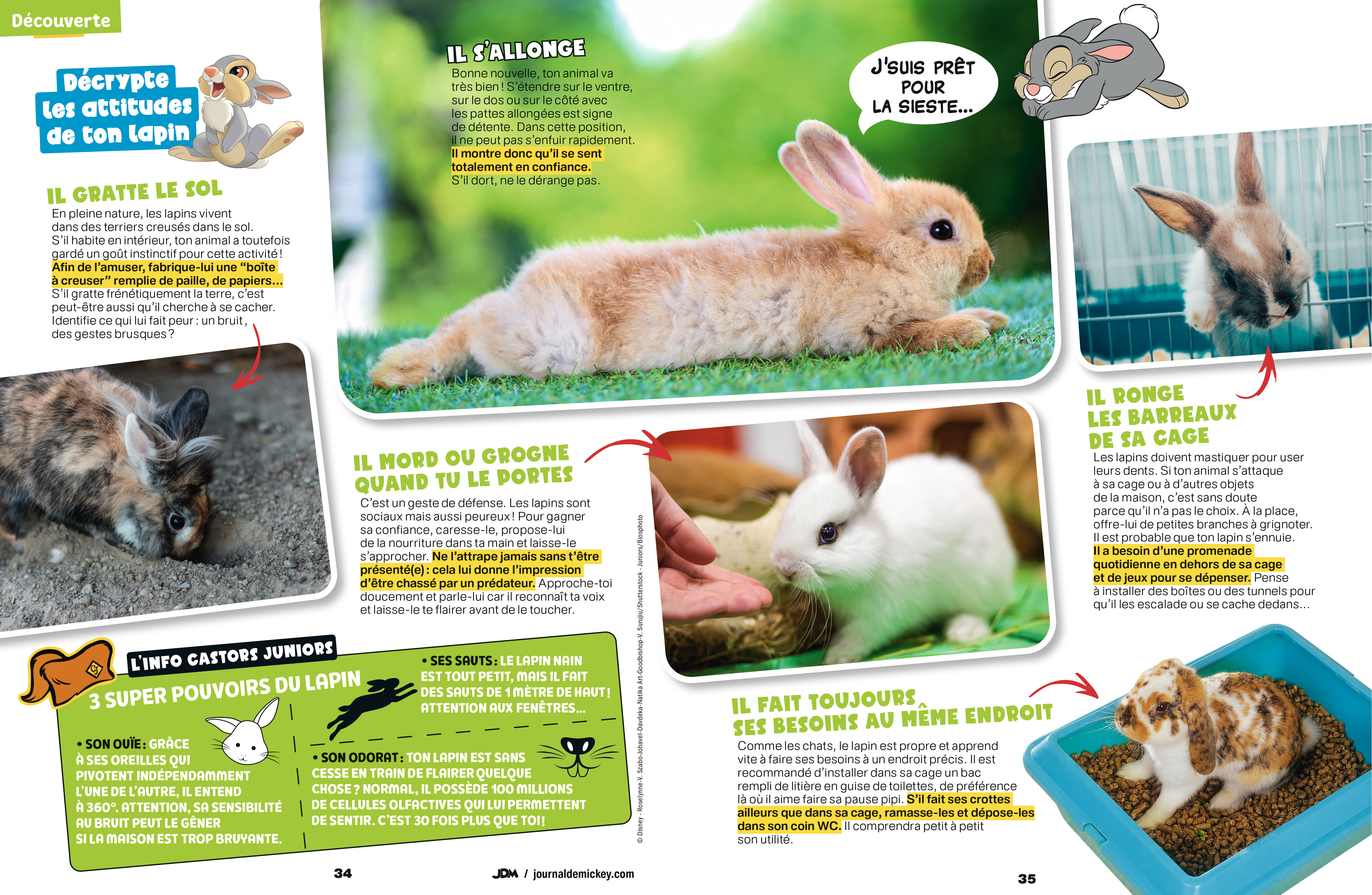 Unique Héritage Media