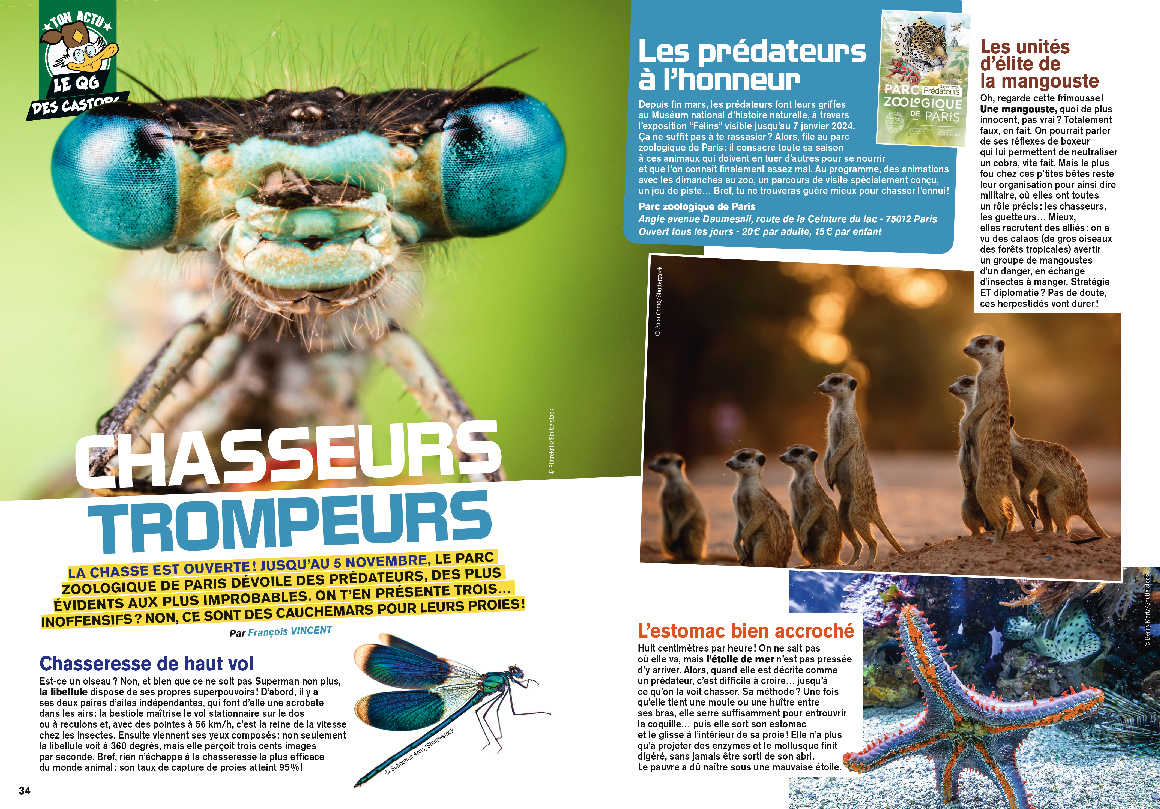 Unique Héritage Media